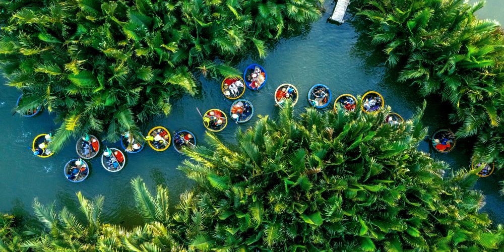 Seven acres coconut forest in Hoi An